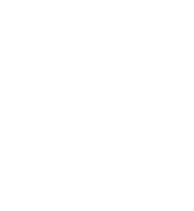 Bacteria Nature's Microscopic Architects of Life PNG