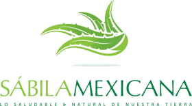 Dental Wellness with Nature's Touch PNG