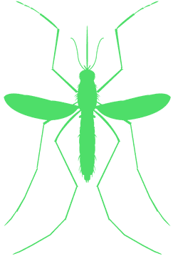 Ultimate Mosquito Repellent Protection Solution PNG