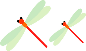 Elegant Insect Duo The Dragonflies in Flight PNG