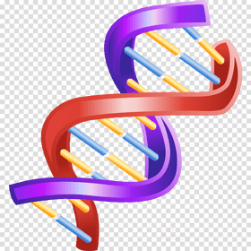 Colorful DNA Helix Structure Illustration PNG