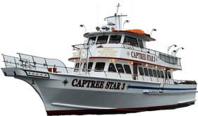 Fishing Adventures on the Captree Star 3 PNG