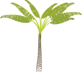 Vibrant Palm Tree in Tropical Paradise PNG