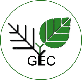 Green Ecology Nurturing Nature's Balance PNG