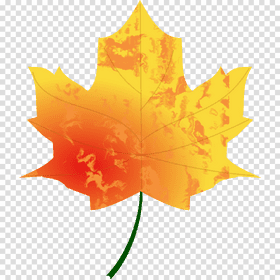 Vibrant Autumn Leaf of Warm Hues PNG