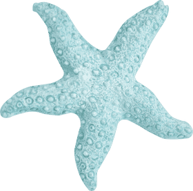 Summer Bliss A Starfish in Paradise PNG