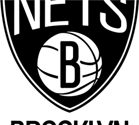 Insect Net Protection Shield PNG