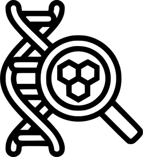 DNA The Blueprint of Life's Code PNG