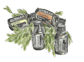 Colorful Ink Bottle Collection with Herbs PNG