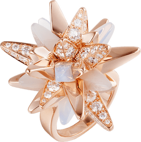 Starlit Bloom Exquisite Jewelry Ring PNG