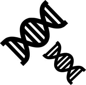 DNA The Blueprint of Life's Code PNG
