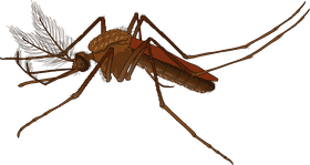 Effective Mosquito Repellent for Outdoor Protection PNG