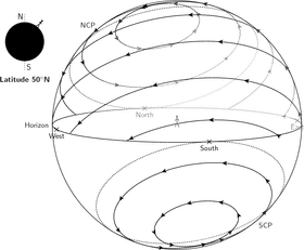 Enchanting Night Market Under Starry Skies PNG