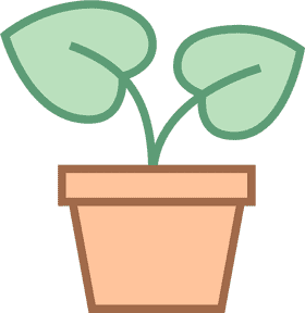 Charming Indoor Plant for Cozy Spaces PNG