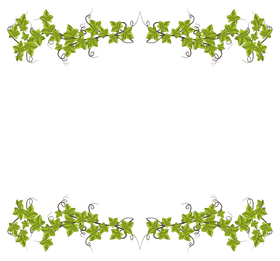 Ivy Leaf Elegance Nature's Framed Beauty PNG