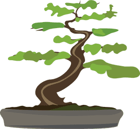 Elegant Twist The Bonsai Tree Serenity PNG