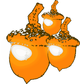 Nutty Acorn Treasures in Vibrant Orange PNG
