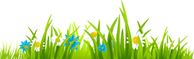 Vibrant Grass with Blossoming Flowers PNG