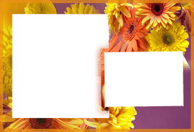 Vibrant Floral Photo Frame for Cherished Memories PNG