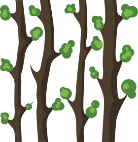 Verdant Tree Canopy in Twilight PNG