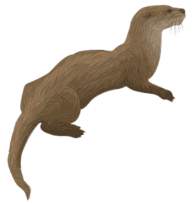 River Guardian The Playful Otter PNG