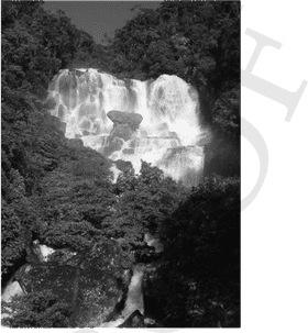 Majestic Cascade The Whispering Waterfall PNG