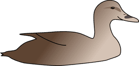 Playful Rubber Duck for Bath Time Fun PNG