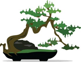 Serene Bonsai Tree Oasis in Zen Style PNG