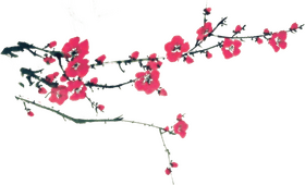 Chinese Blossom Branch in Springtime Beauty PNG