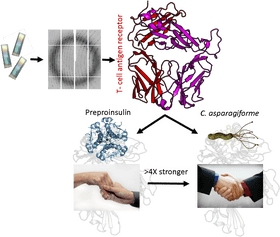 Printing Press Bridging Science Through Collaboration PNG