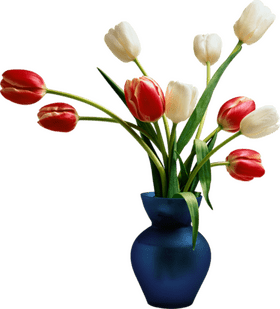Vibrant Tulip Bouquet in Elegant Vase PNG