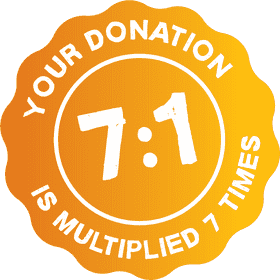 Impactful Transport Donation Multiplier PNG