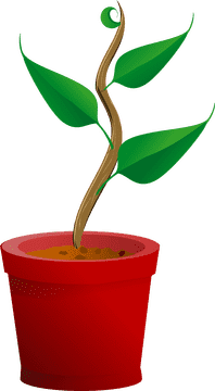 Vibrant Green Plant Pot with Twisting Stem PNG