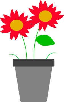 Floral-Inspired Cookware Collection PNG