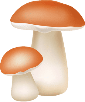 Mushroom Duo Nature's Earthy Delights PNG