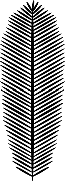 Hanukkah Celebration Lights of Joy and Tradition PNG