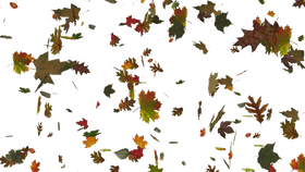 Whirling Colors of Autumn Leaves PNG