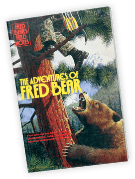 Exploring the Harmony of Music Notes PNG