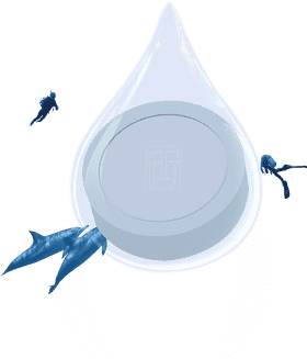 Whispers of the Deep Forest PNG