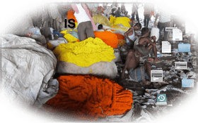 Vibrant Market Stall of Colorful Flowers PNG