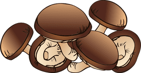 Delightful Mushroom Medley of Flavor PNG