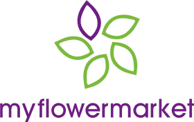 My Flower Market Fresh Blooms for Every Occasion PNG