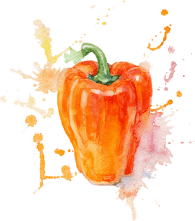 Vibrant Vegetable Garden The Art of Peppers PNG