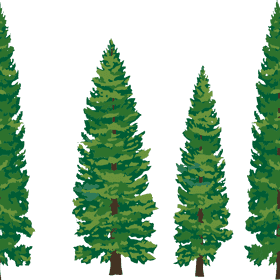 Whispers of the Forest Pines PNG