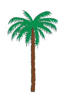 Lush Green Tropical Palm Tree PNG