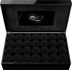 Elegant Black Rose Memory Box PNG