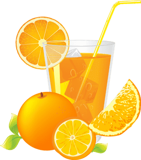 Citrus Dream Juice Bar Delight PNG