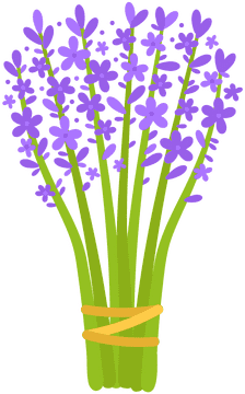 Enchanting Lavender Field Bouquet PNG
