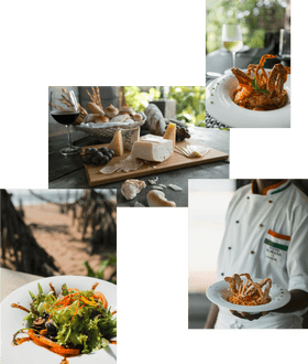 Exquisite Food Delights A Culinary Journey PNG