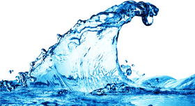 Dynamic Dance of the Ocean Wave PNG